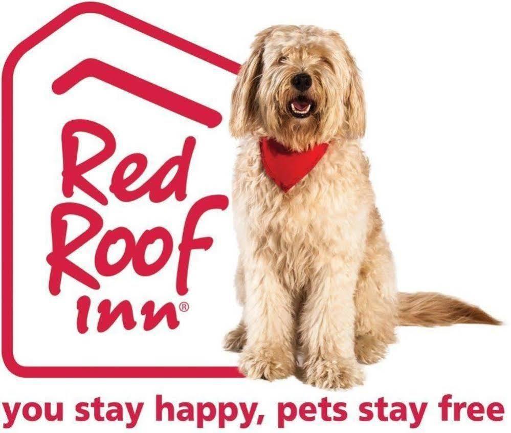 Red Roof Inn Lompoc Extérieur photo